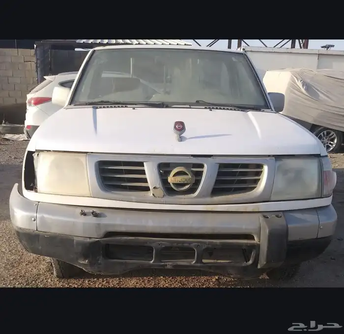 نسيان   ددسن غمارة  مسقطه 3