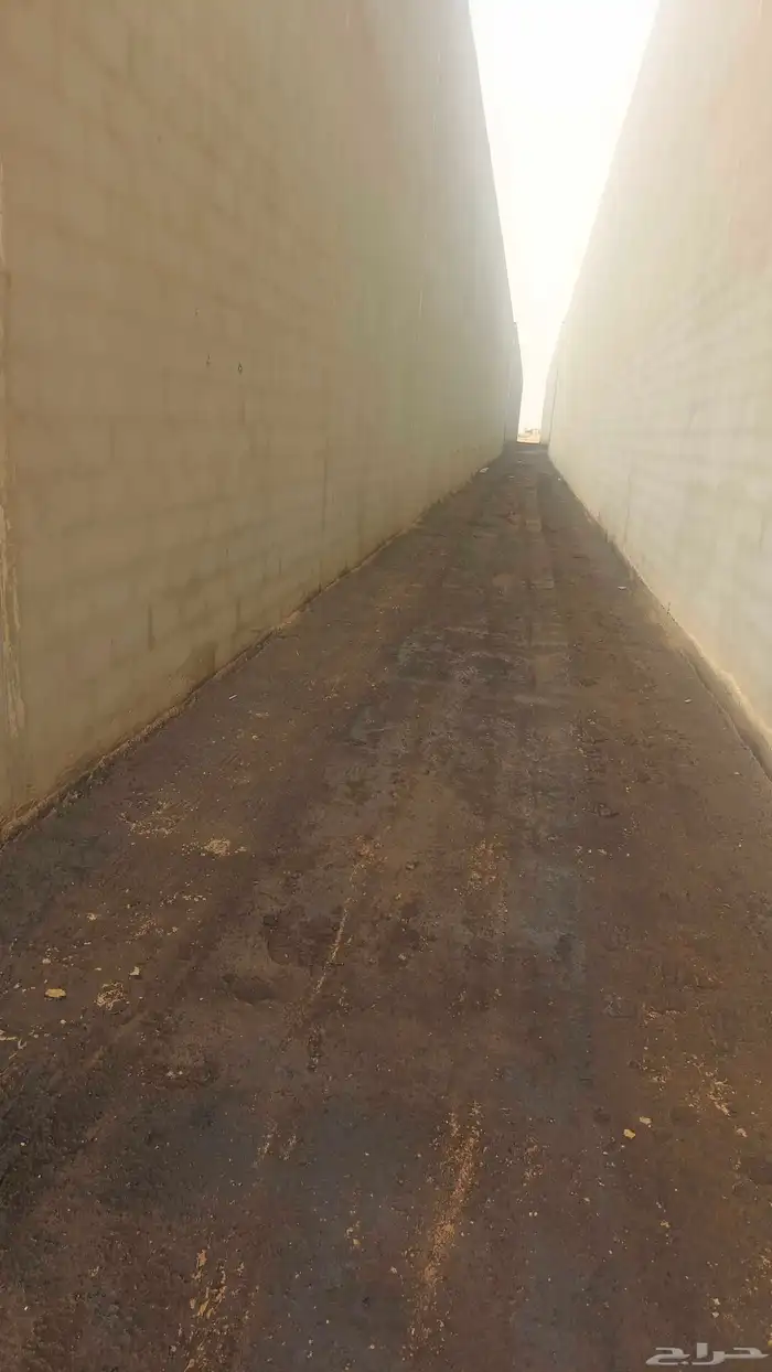 زفلتة حار وبارد اسعار طيبة يامرحبا 8