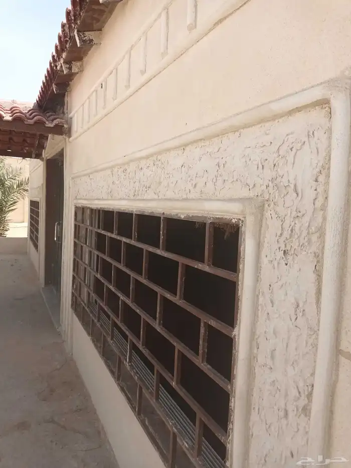 الهياثم العفجه نجديه الرحمانيه الشديده الرفايع العتيق الدلم 3