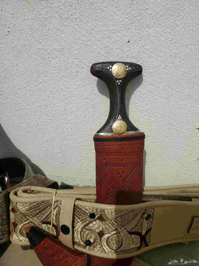 جنبيه قرن مصوعي 0