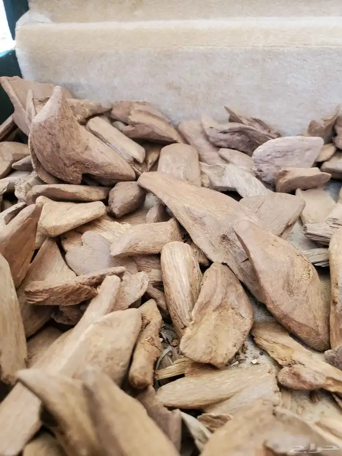مروكي ميني سوبر ab الاوقيه ب89 0
