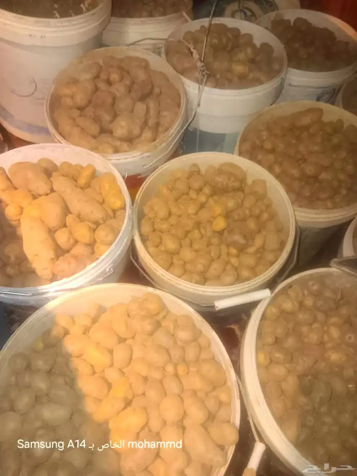 بطاط عربي 0