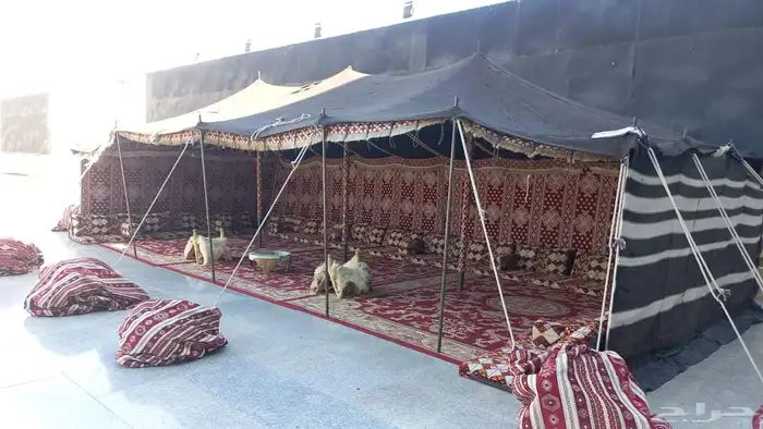 تاجير خيام شعبيه واركان شعبيه 9
