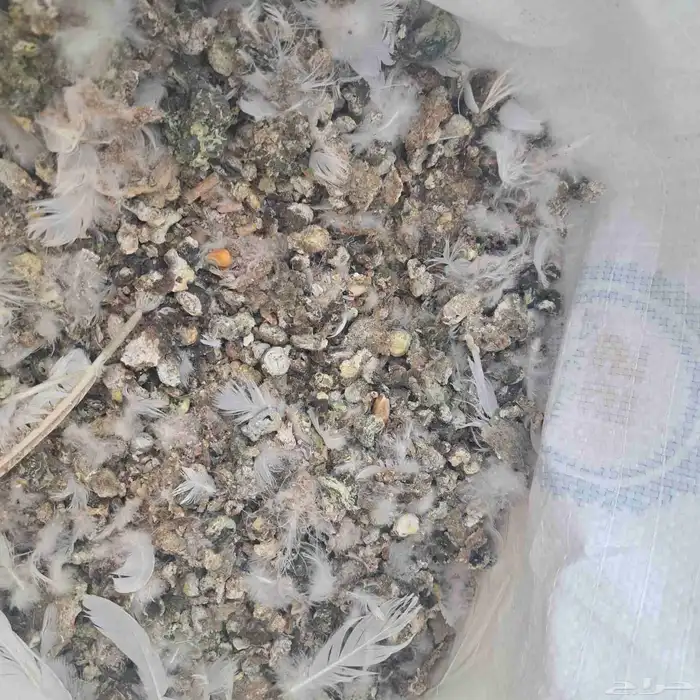 سماد طبيعي _ سبلة حمام 1