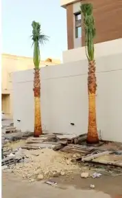 القصيم 2