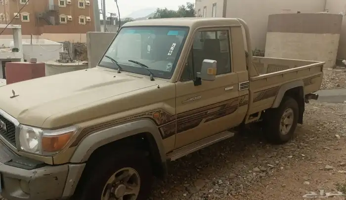 شاص 2013 3