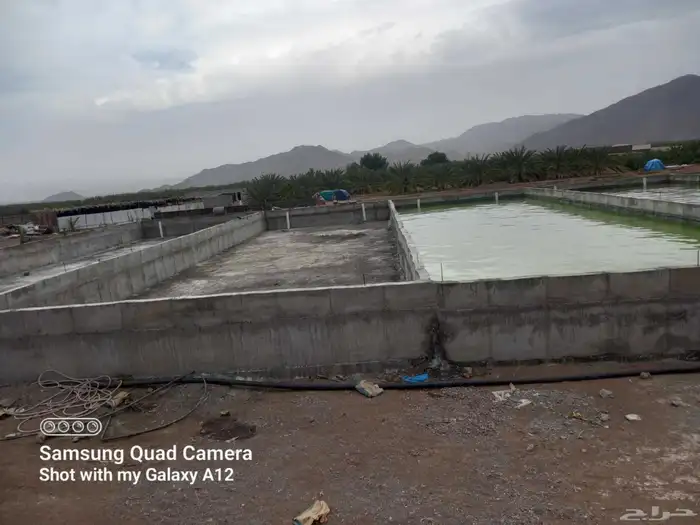 خزان مبروم دري خزانات سم  خزان مسبخ بر ه 7