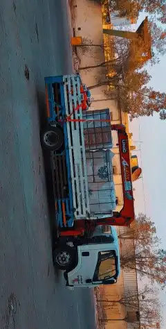 مطلوب دينا ويش للبيع 0