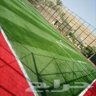 تخصص ملاعب 4