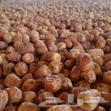 تمور فاخره جميع اانواع 4