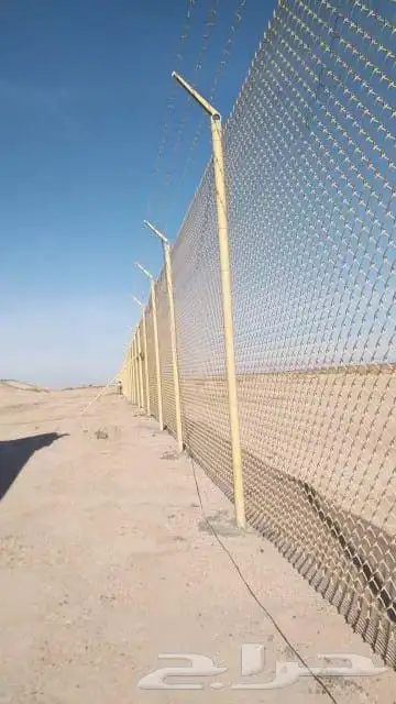 زراعه.النخيل.وتركيب.الشبوك 3
