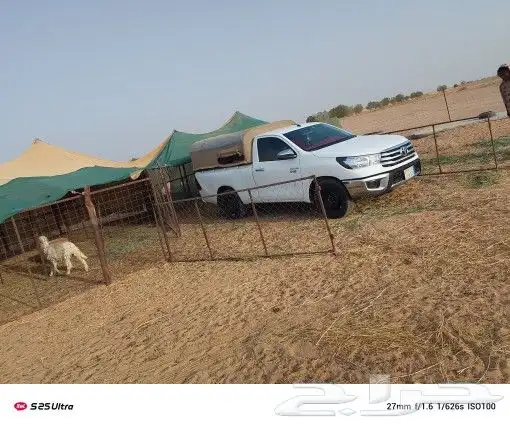 موصل حلال في أنحاء المملكة 1