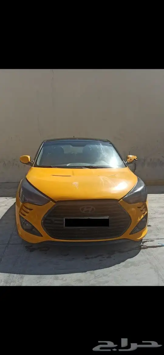 فولستر 2013 1