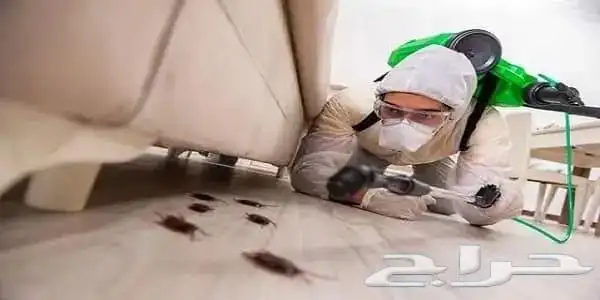 شركة مكافحة حشرات بمكه 5