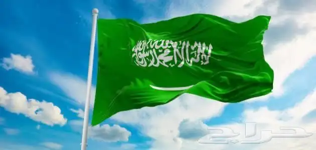 معلم تأسيس ومتابعة جميع المواد 0
