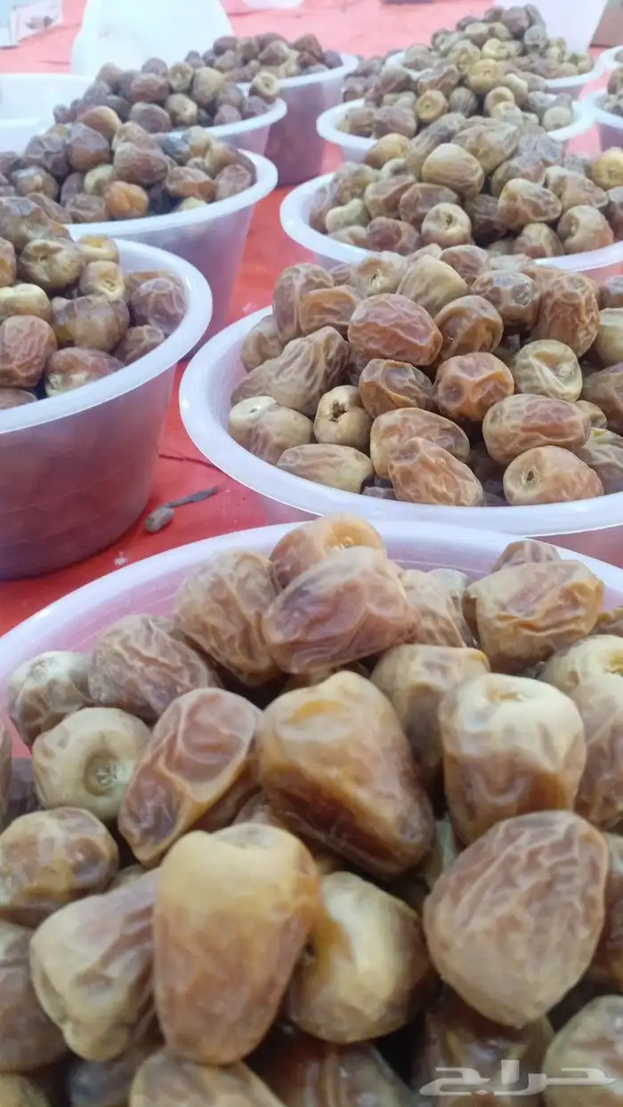 تمور فاخره جميع اانواع 3