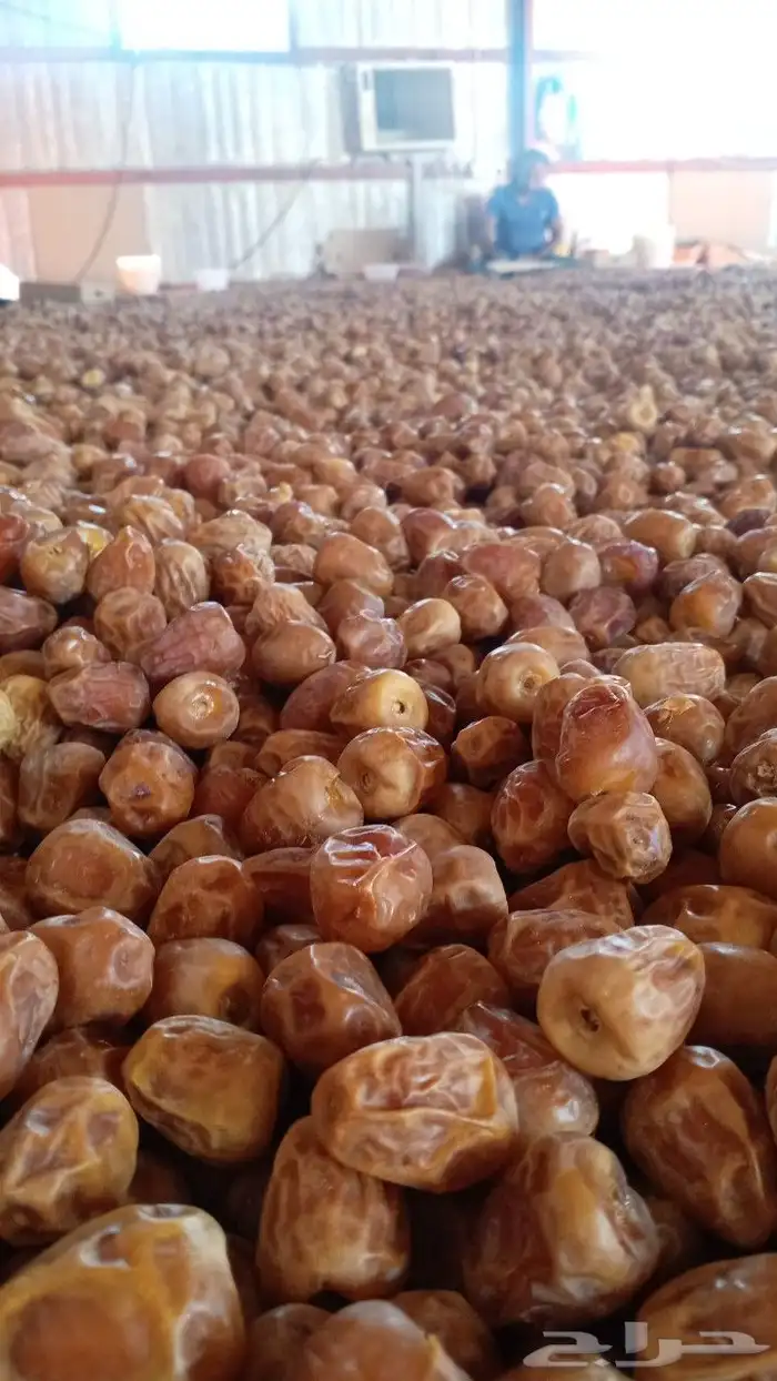 تمور فاخره جميع اانواع 6