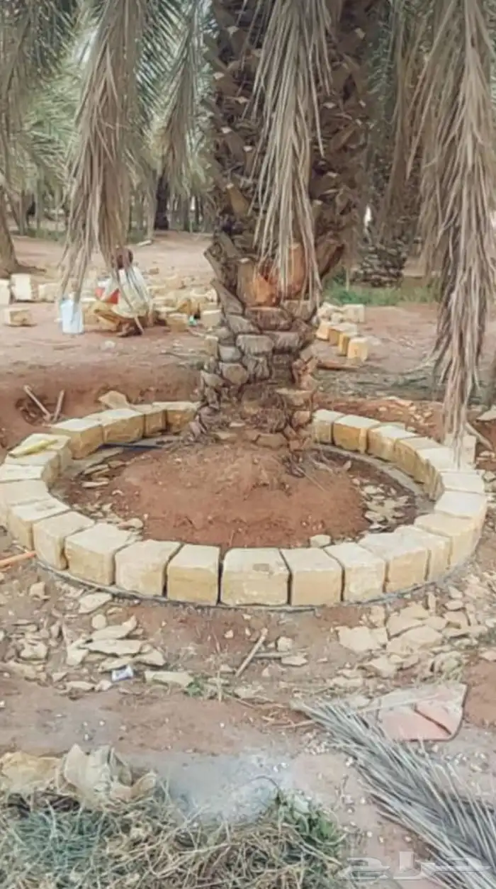 مقاول 2