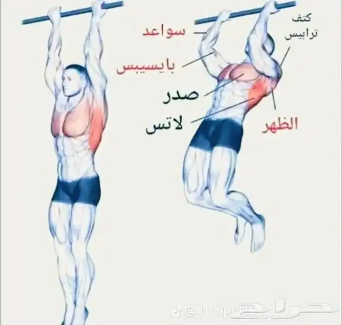 مدرب شخصي او مدربة في صالات او بالمنزل 0