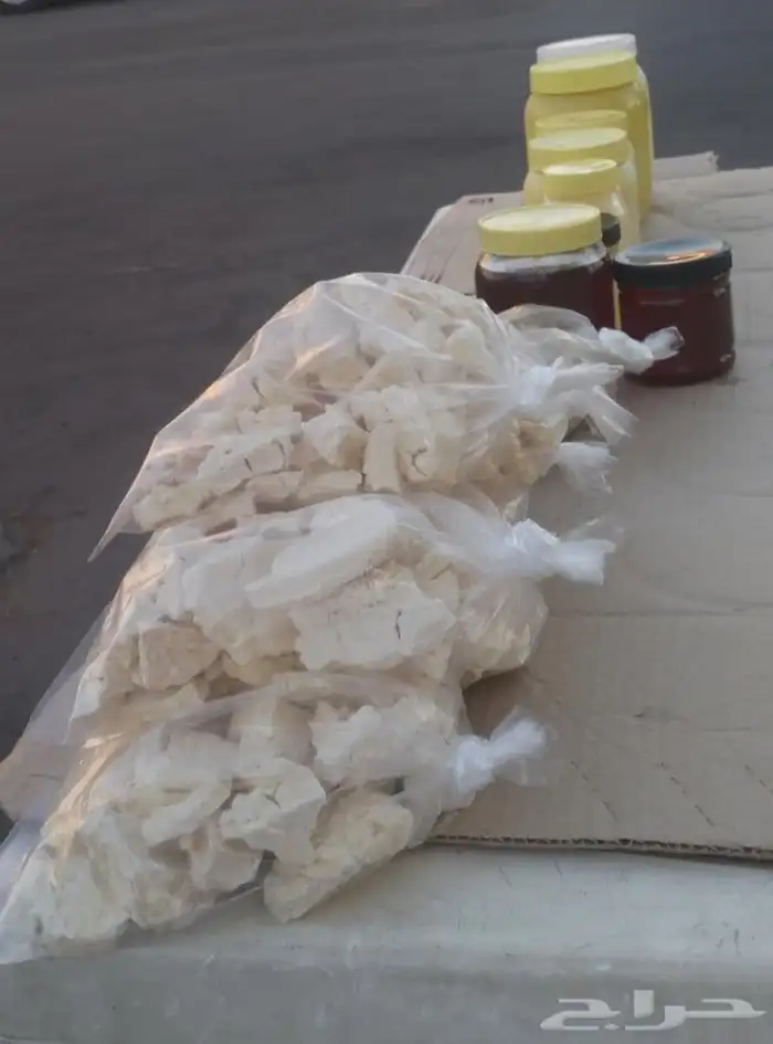 يوجد سمن بري معزه. 0