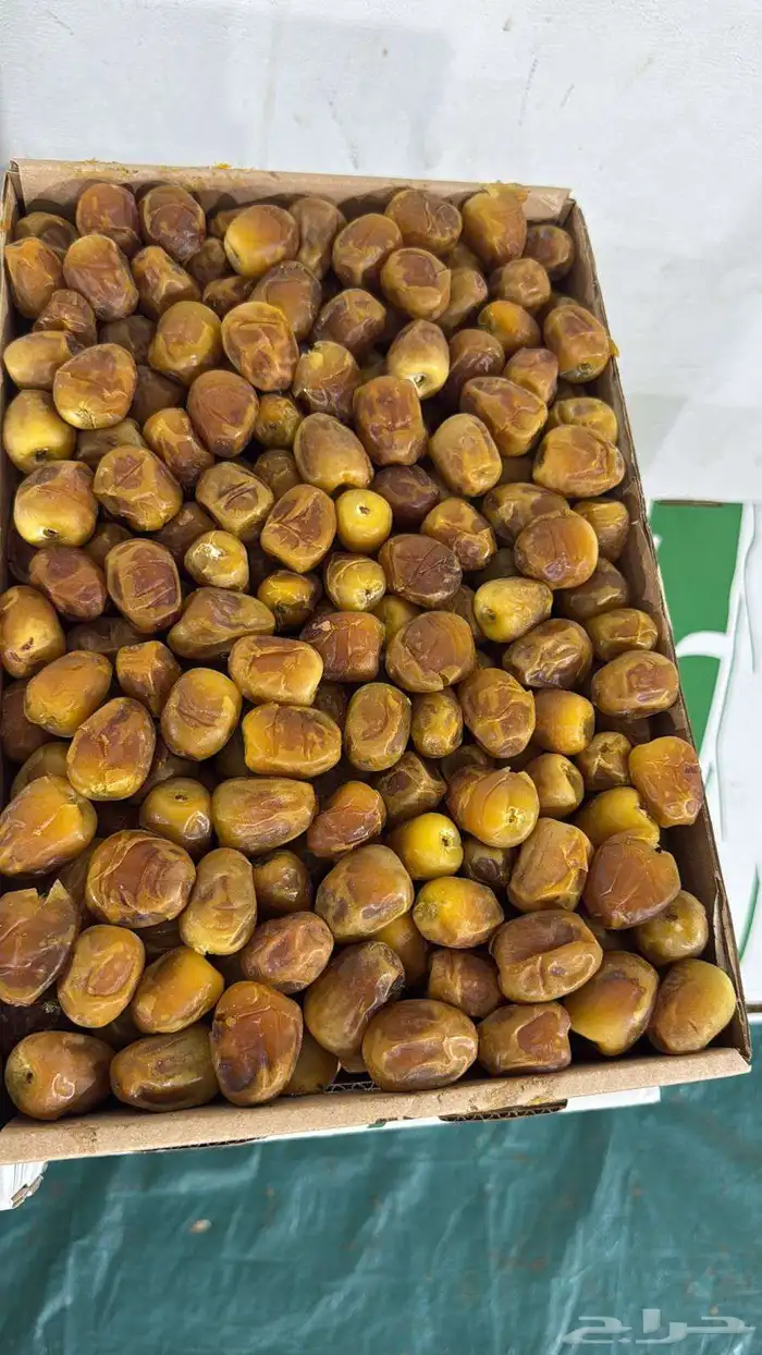سكري مفتل ورطب 1