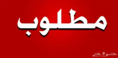 مطلوب 0