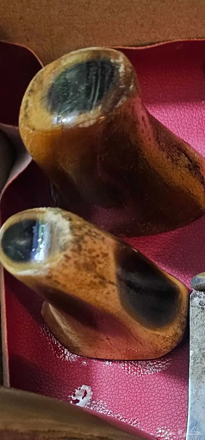 مقابض زراف خام للجنابي والخنجر 7