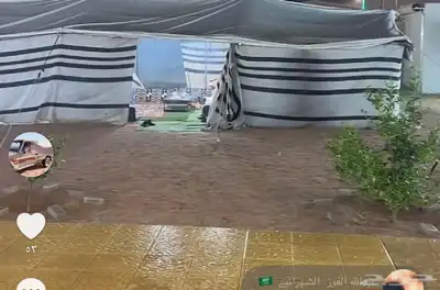 بيت شعر للبيع الطول 11   6 وبيه شراع ضد الماء البيت نضيف 0