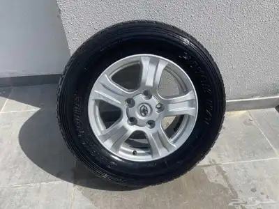 جنوط اسكويا 0
