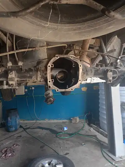 koroba dabol divrence 8