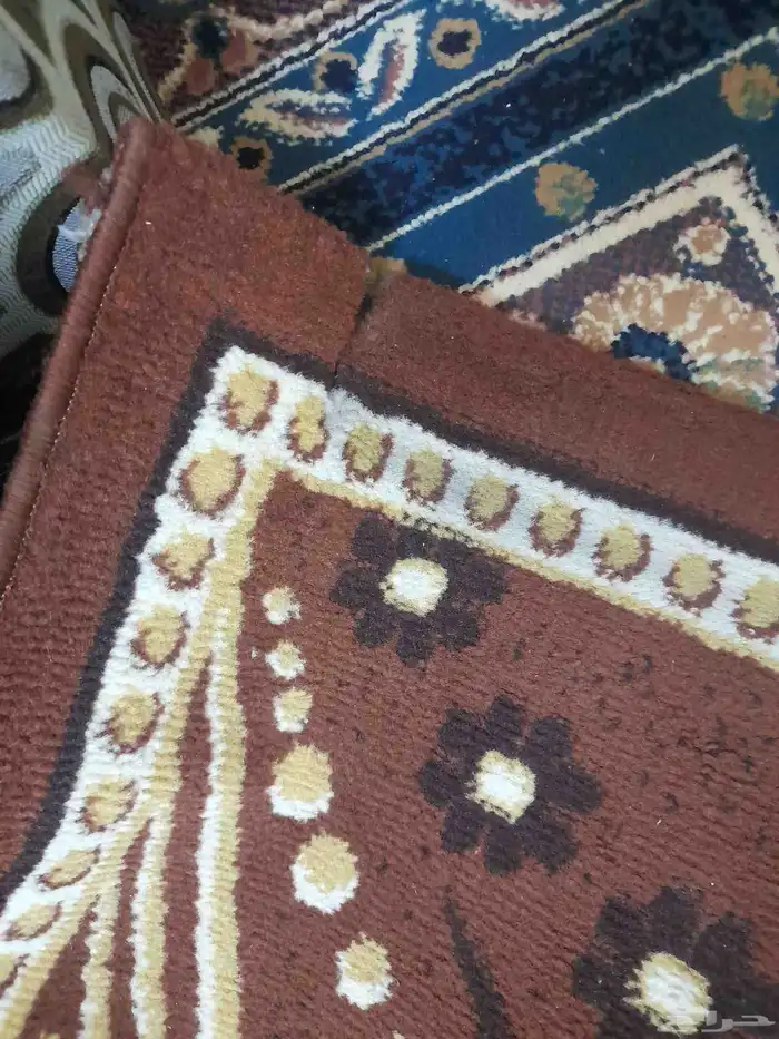 زوليه 4 6 6