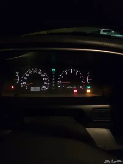 ناتيفا 2008 8