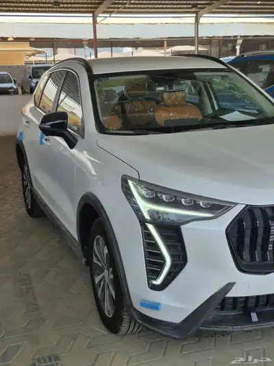 هافال جوليان اكتيف 2025 5