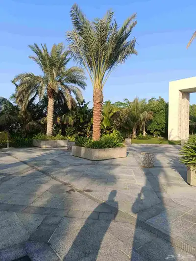 ابويوسف 7