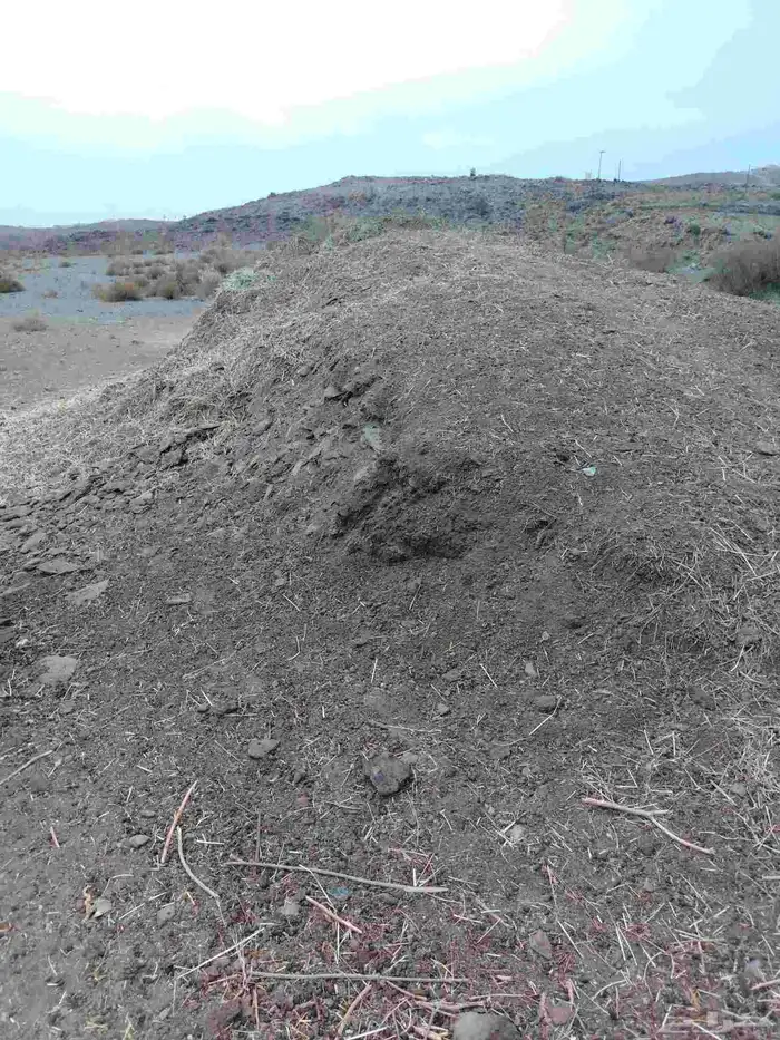 سماد غنم للبيع 2