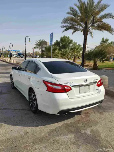 التيما 2017 نص فل 7