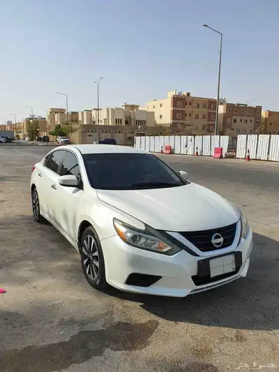 التيما 2017 نص فل 1