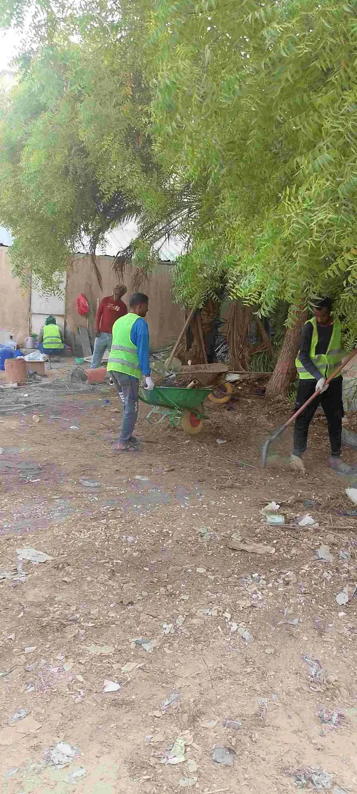 مقاولات تكسير نظافه أحواش قص أشجار نخيل 4