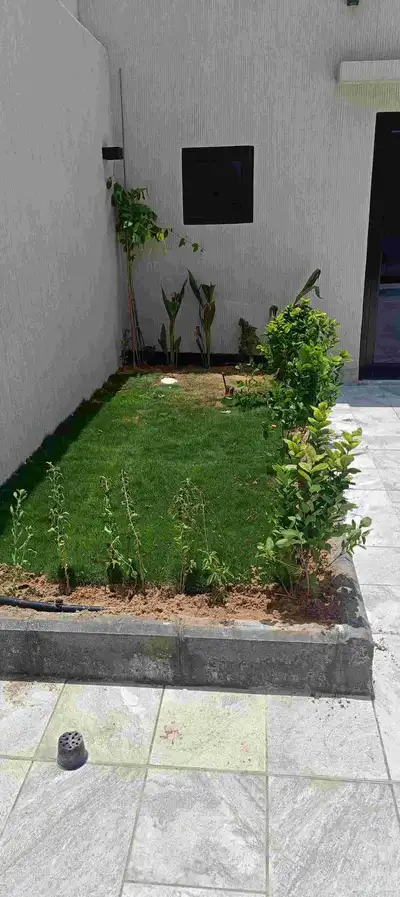 ابويوسف 0