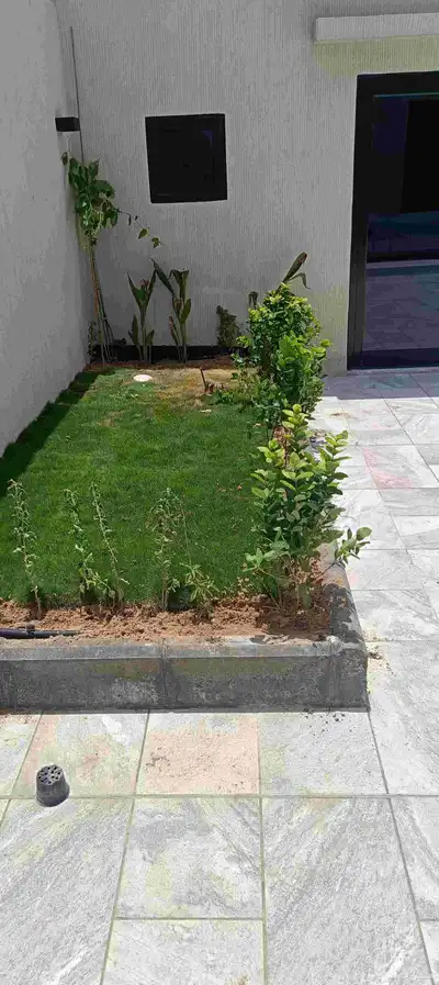 ابويوسف 1