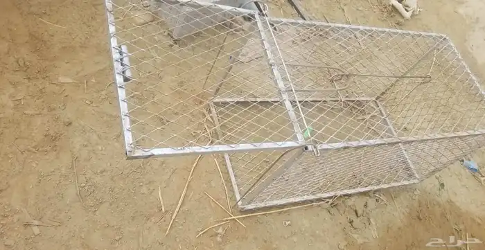 مصيده حيوانات جديده استخدام اقل من الشهر 0
