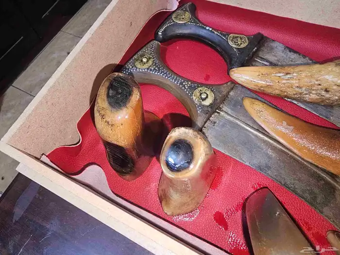 مقابض زراف خام للجنابي والخنجر 1