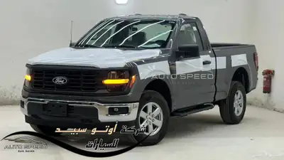 فورد F150 XL غماره 2025 0
