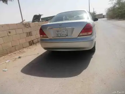 نسيان صني 2006 5