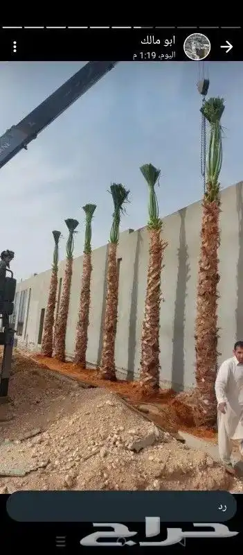 يوجد عربي وواشنطن 0
