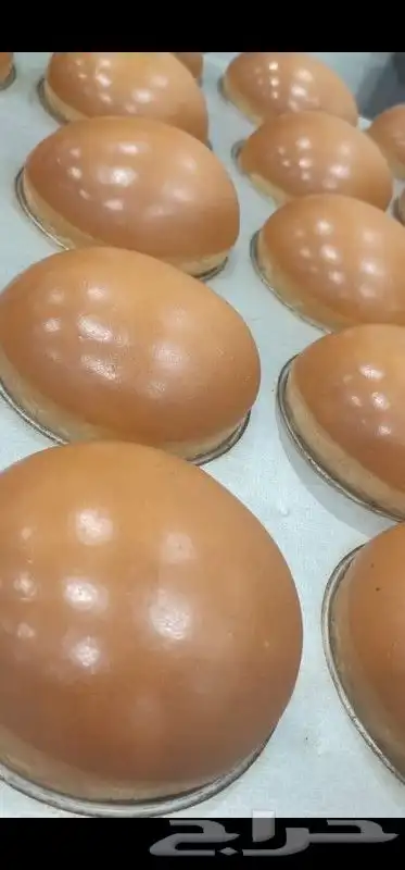 لديناء فروع في جميع مناطق المملكه 0