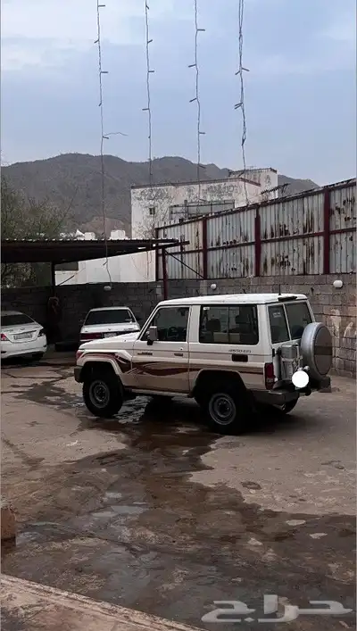 جيب ربع 2009 7