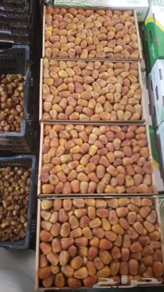 رطب سكري الكميه 1000 السعر 25 ريال 0