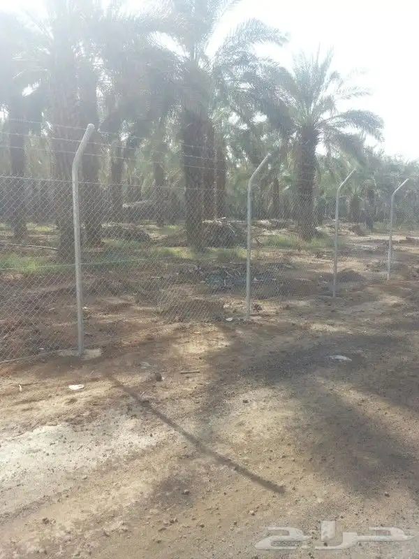 مقاول شبوك مقاول اسياج امنيه مقاول اسياج طرق مقاول ملعب 4