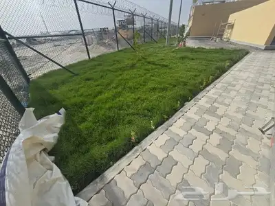 عشب طبيعي وزراعه اشجار 0